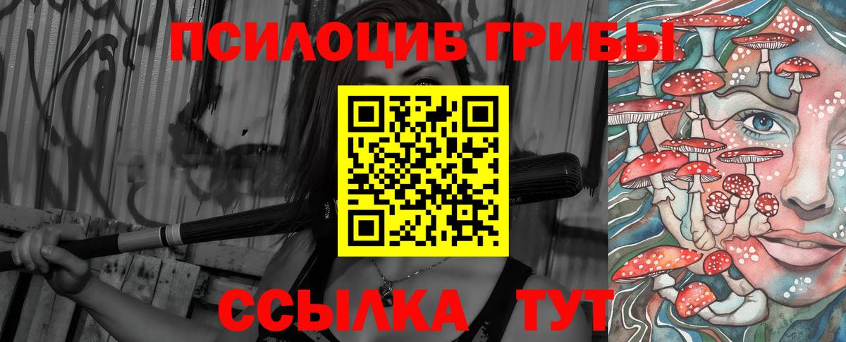 Галлюциногенные грибы GOLDEN TEACHER Шелехов